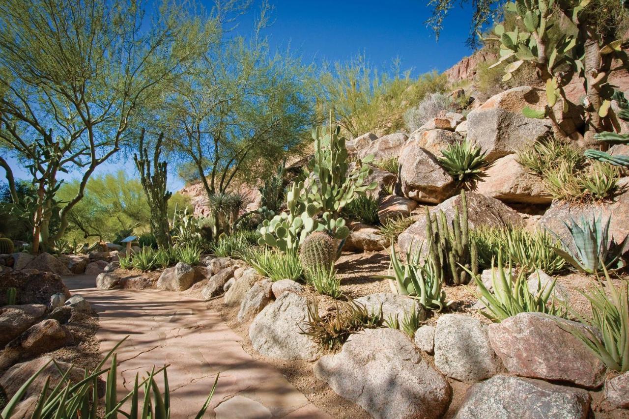 The Canyon Suites At The Phoenician, A Luxury Collection Resort, Scottsdale Paradise Valley Exterior foto