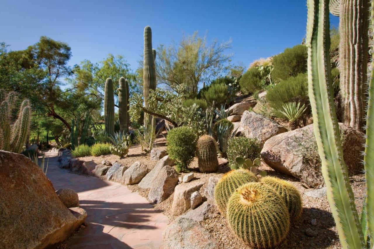 The Canyon Suites At The Phoenician, A Luxury Collection Resort, Scottsdale Paradise Valley Exterior foto